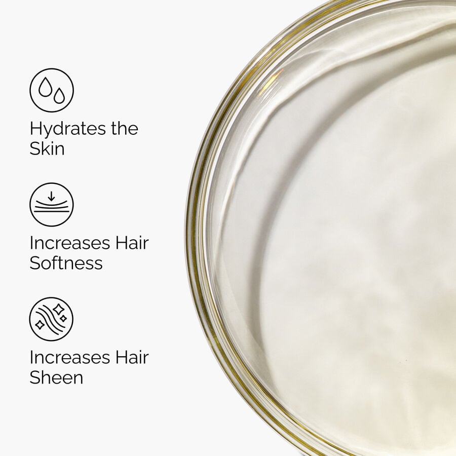 100% Organic Cold-Pressed Moroccan Argan Oil - US 3872