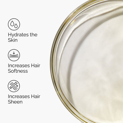 100% Organic Cold-Pressed Moroccan Argan Oil - US 3872