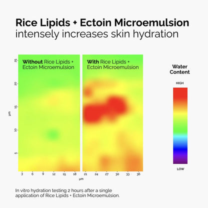 Rice Lipids + Ectoin Microemulsion - US 9314